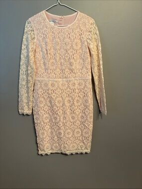 Maggy London Pale Pink Lace Long-Sleeve Sheath Dress